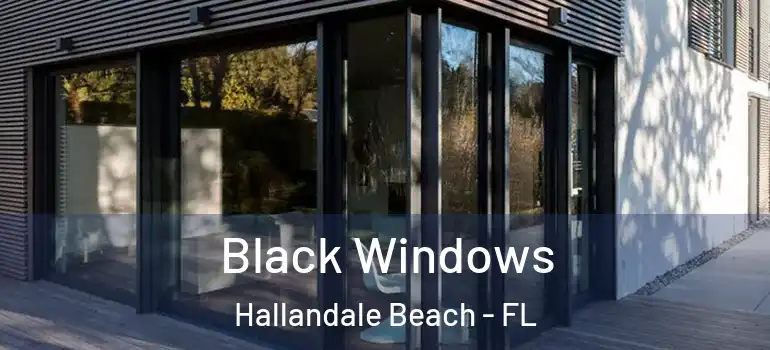  Black Windows Hallandale Beach - FL