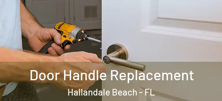  Door Handle Replacement Hallandale Beach - FL