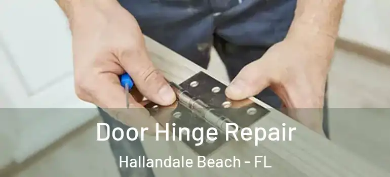  Door Hinge Repair Hallandale Beach - FL
