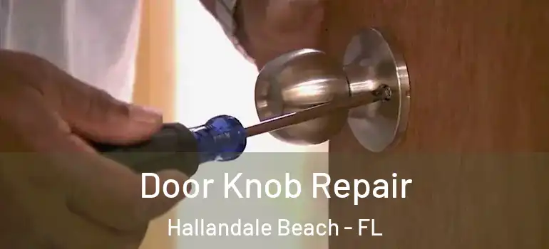  Door Knob Repair Hallandale Beach - FL