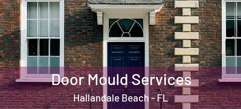  Door Mould Services Hallandale Beach - FL