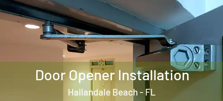  Door Opener Installation Hallandale Beach - FL