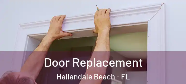  Door Replacement Hallandale Beach - FL