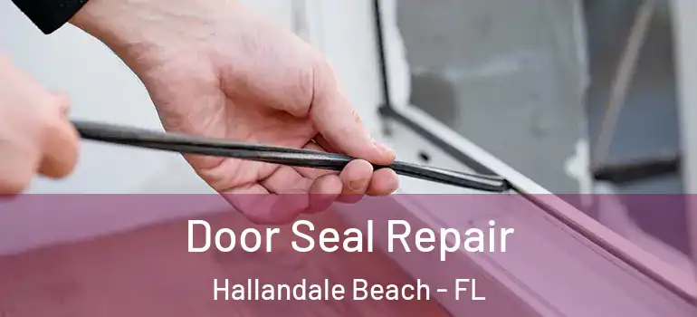  Door Seal Repair Hallandale Beach - FL