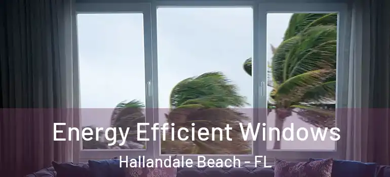  Energy Efficient Windows Hallandale Beach - FL