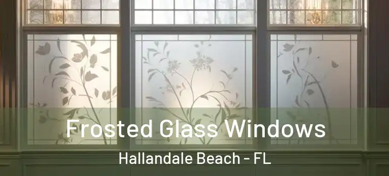  Frosted Glass Windows Hallandale Beach - FL