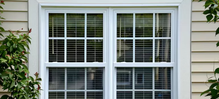 Custom Double Hung Windows in Hallandale Beach, FL