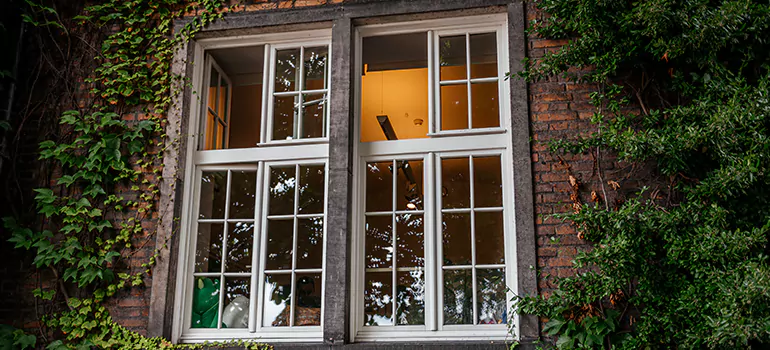Energy Efficient Wood Windows in Hallandale Beach, FL