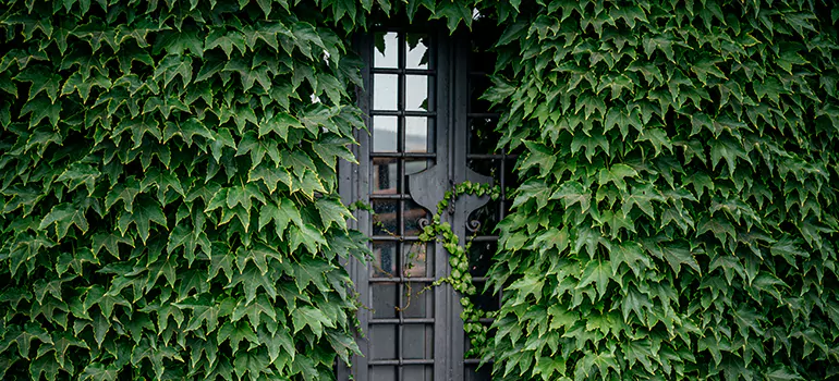 Garden Gate Repair in Hallandale Beach, FL