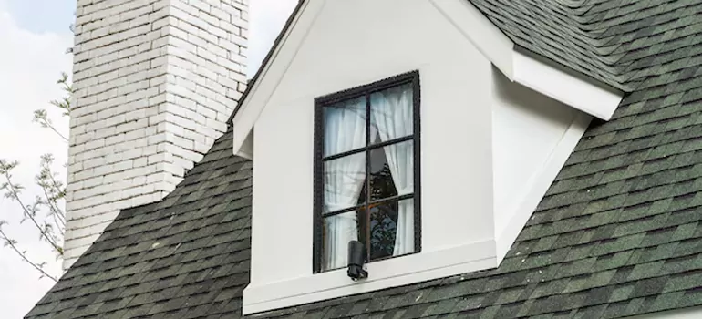 Roof Window Repair in Hallandale Beach, FL