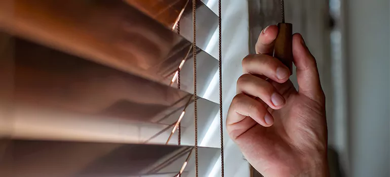 Double Roller Blinds in Hallandale Beach, FL