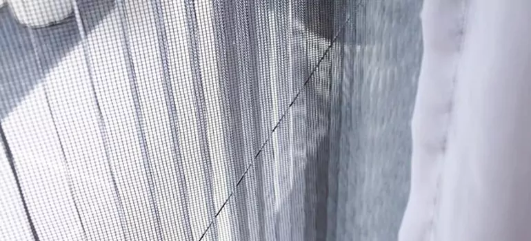 Fixing Screen Window Mesh in Hallandale Beach, FL