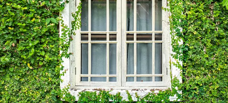Garden Window Repair Near Me in Hallandale Beach, FL