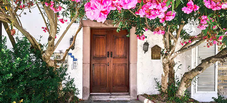 Traditional 4 Panel Internal Doors in Hallandale Beach, FL