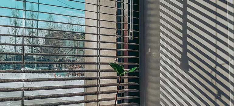 Commercial Window Blinds in Hallandale Beach, FL