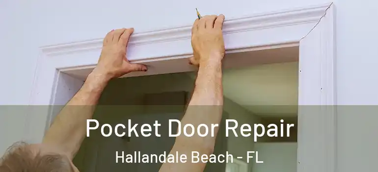  Pocket Door Repair Hallandale Beach - FL