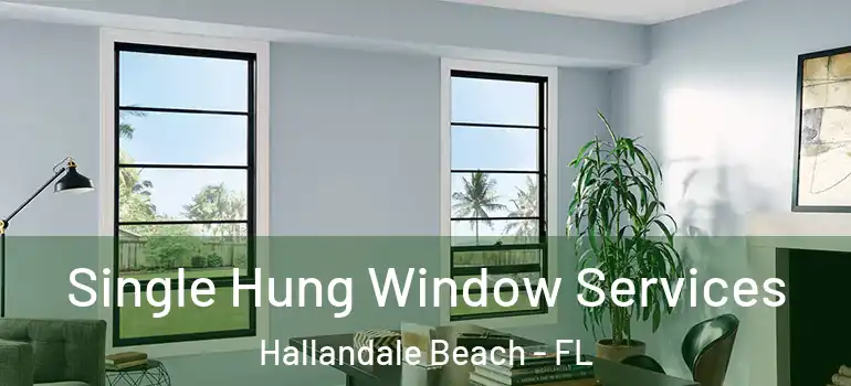  Single Hung Window Services Hallandale Beach - FL