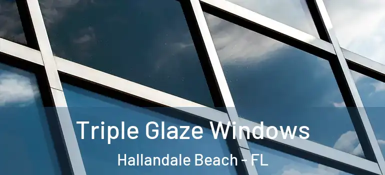  Triple Glaze Windows Hallandale Beach - FL