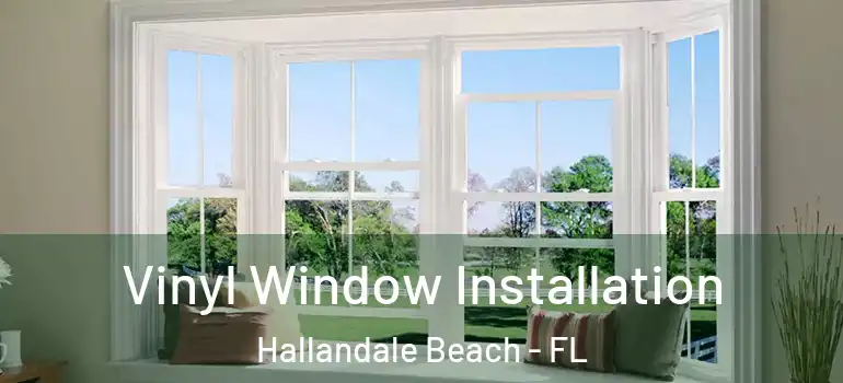  Vinyl Window Installation Hallandale Beach - FL