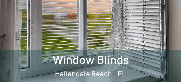  Window Blinds Hallandale Beach - FL