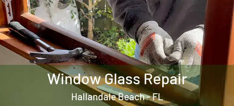  Window Glass Repair Hallandale Beach - FL
