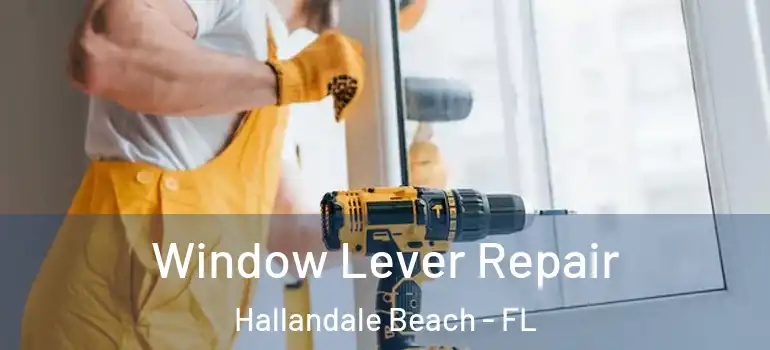  Window Lever Repair Hallandale Beach - FL