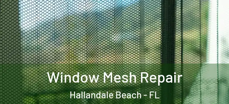  Window Mesh Repair Hallandale Beach - FL