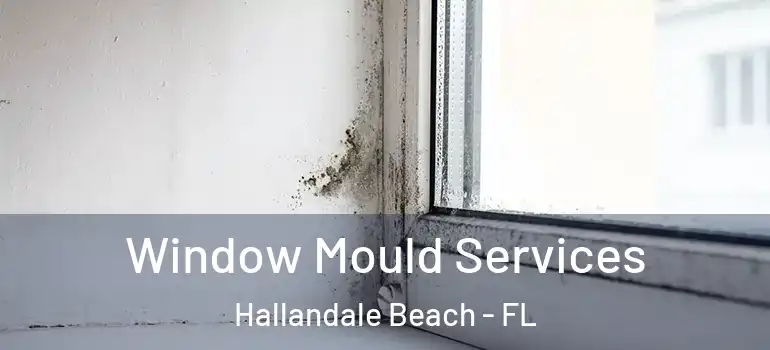  Window Mould Services Hallandale Beach - FL