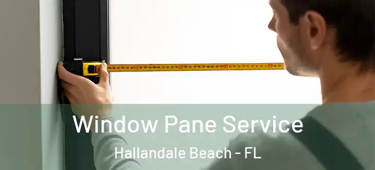  Window Pane Service Hallandale Beach - FL