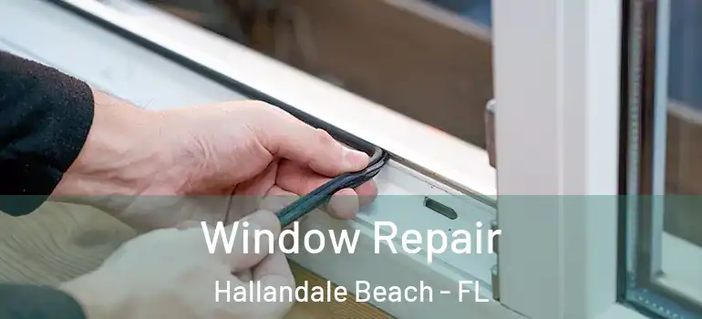  Window Repair Hallandale Beach - FL