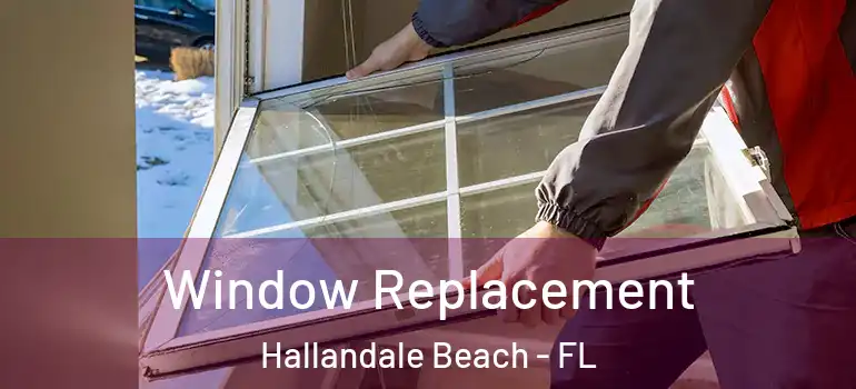  Window Replacement Hallandale Beach - FL
