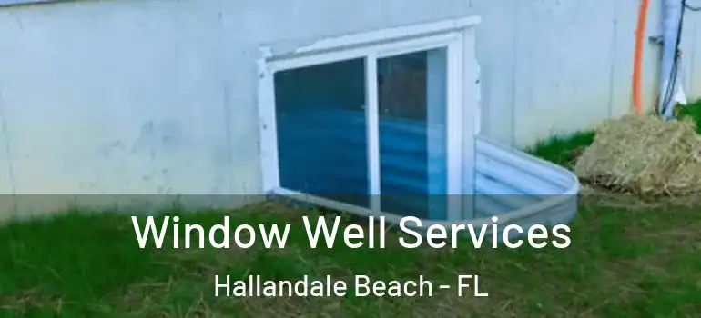  Window Well Services Hallandale Beach - FL